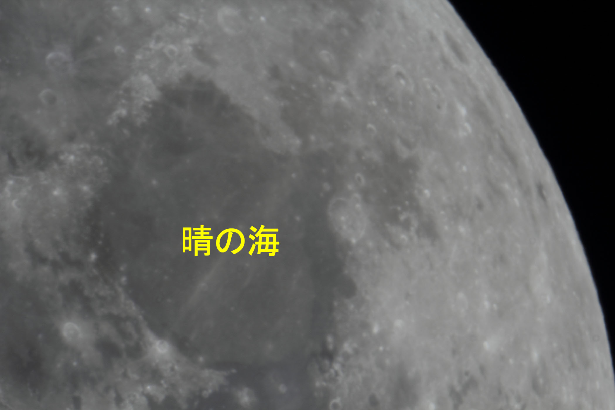 �w���i����12.2�j���̊C�t�߁x(2025�N12��2��)