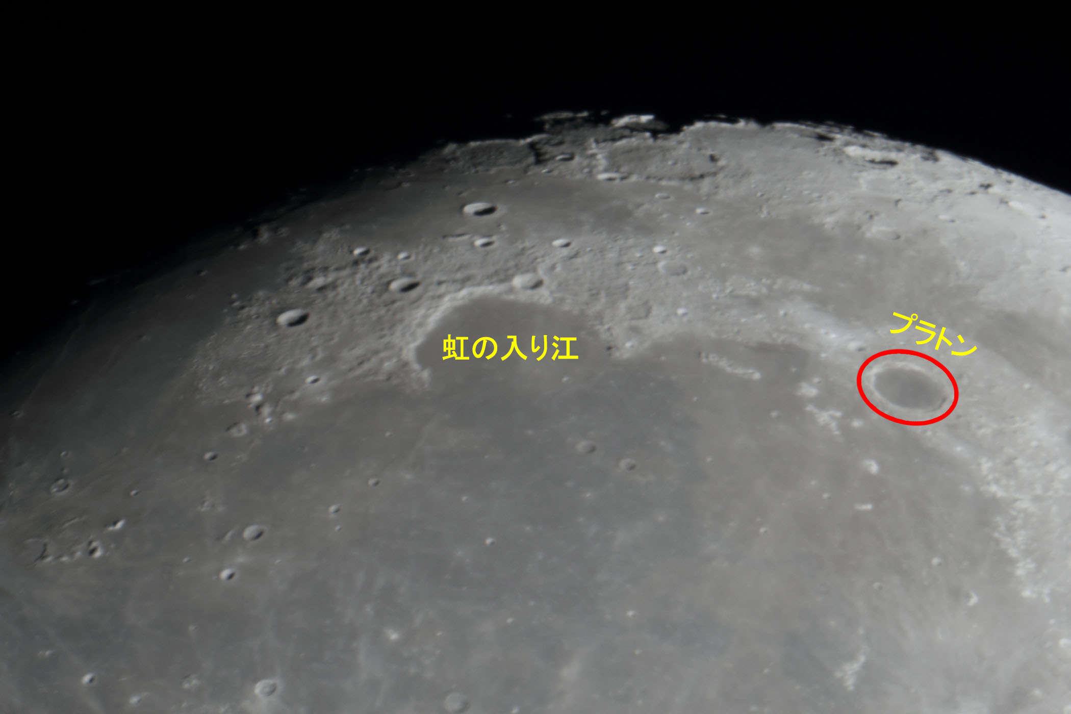 �w���i����12.2�j���̓���]�E�v���g���t�߁x(2025�N12��2��)