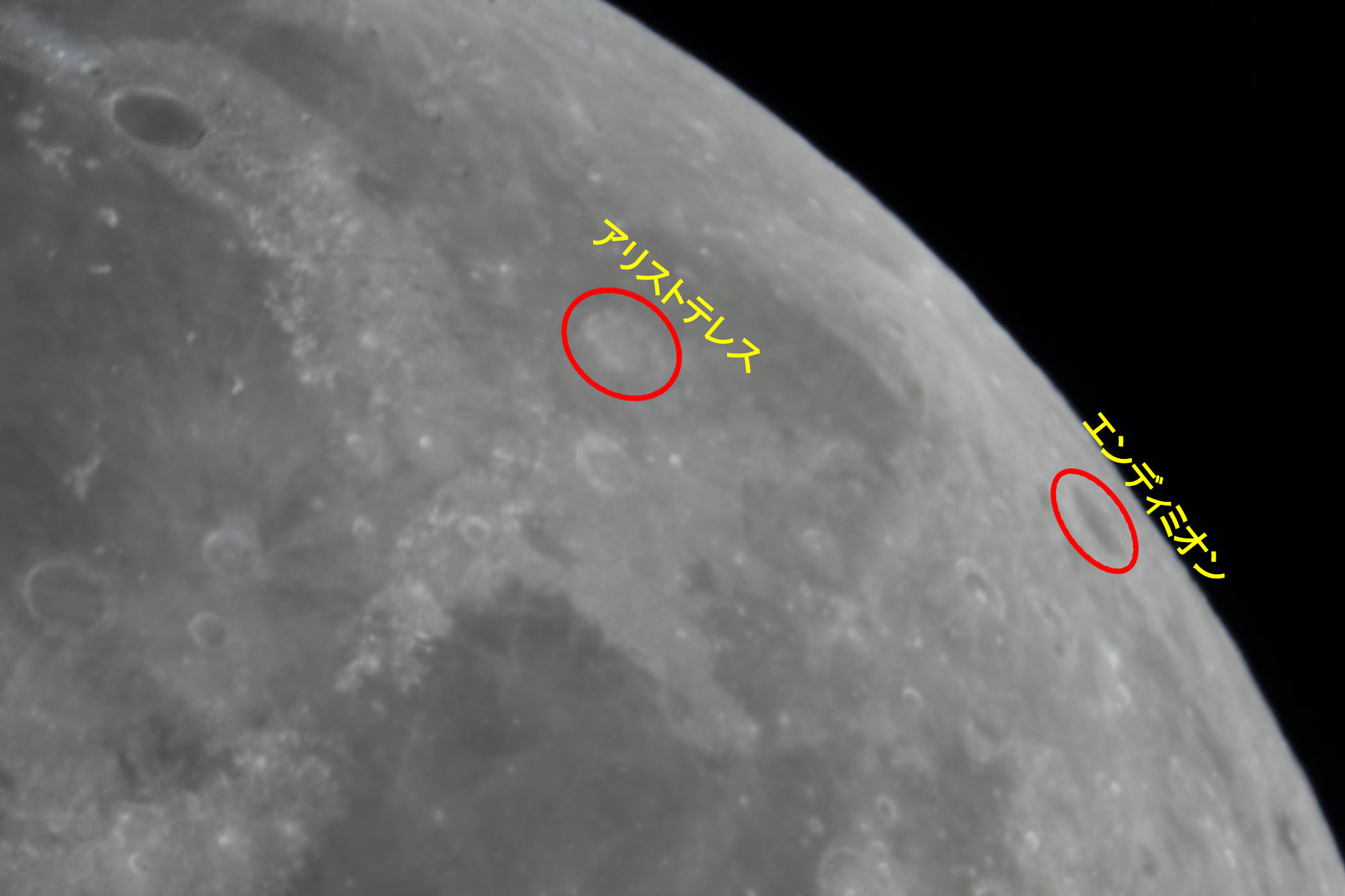 �w���i����12.2�j�A���X�g�e���X�E�G���f�B�~�I���t�߁x(2025�N12��2��)