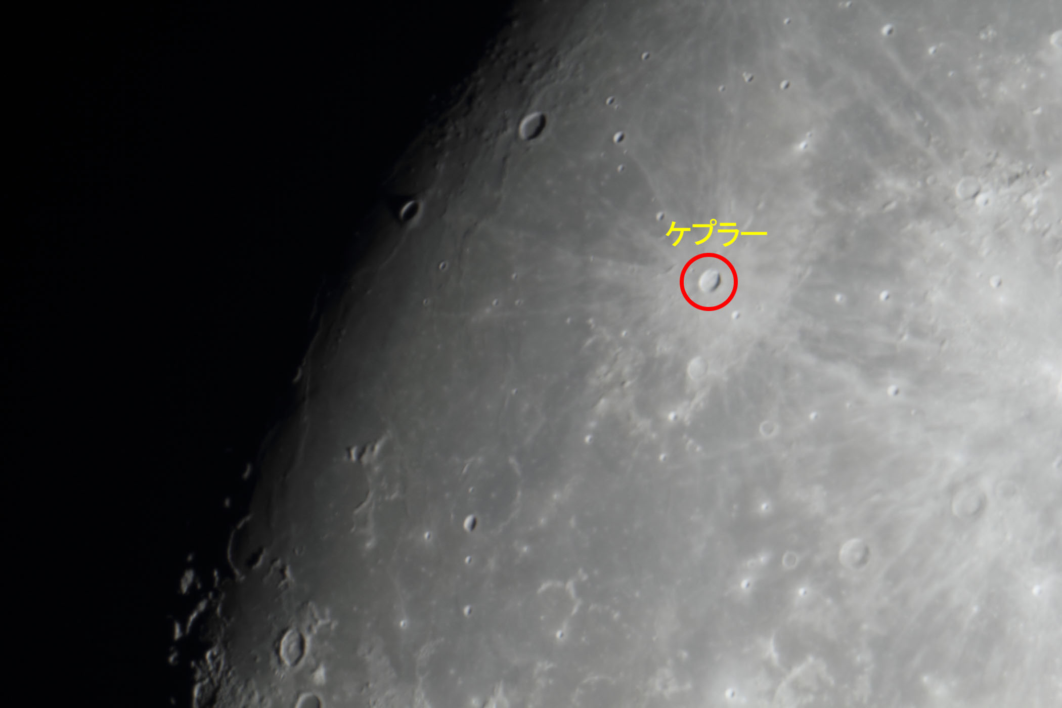 �w���i����12.2�j�P�v���[�t�߁x(2025�N12��2��)