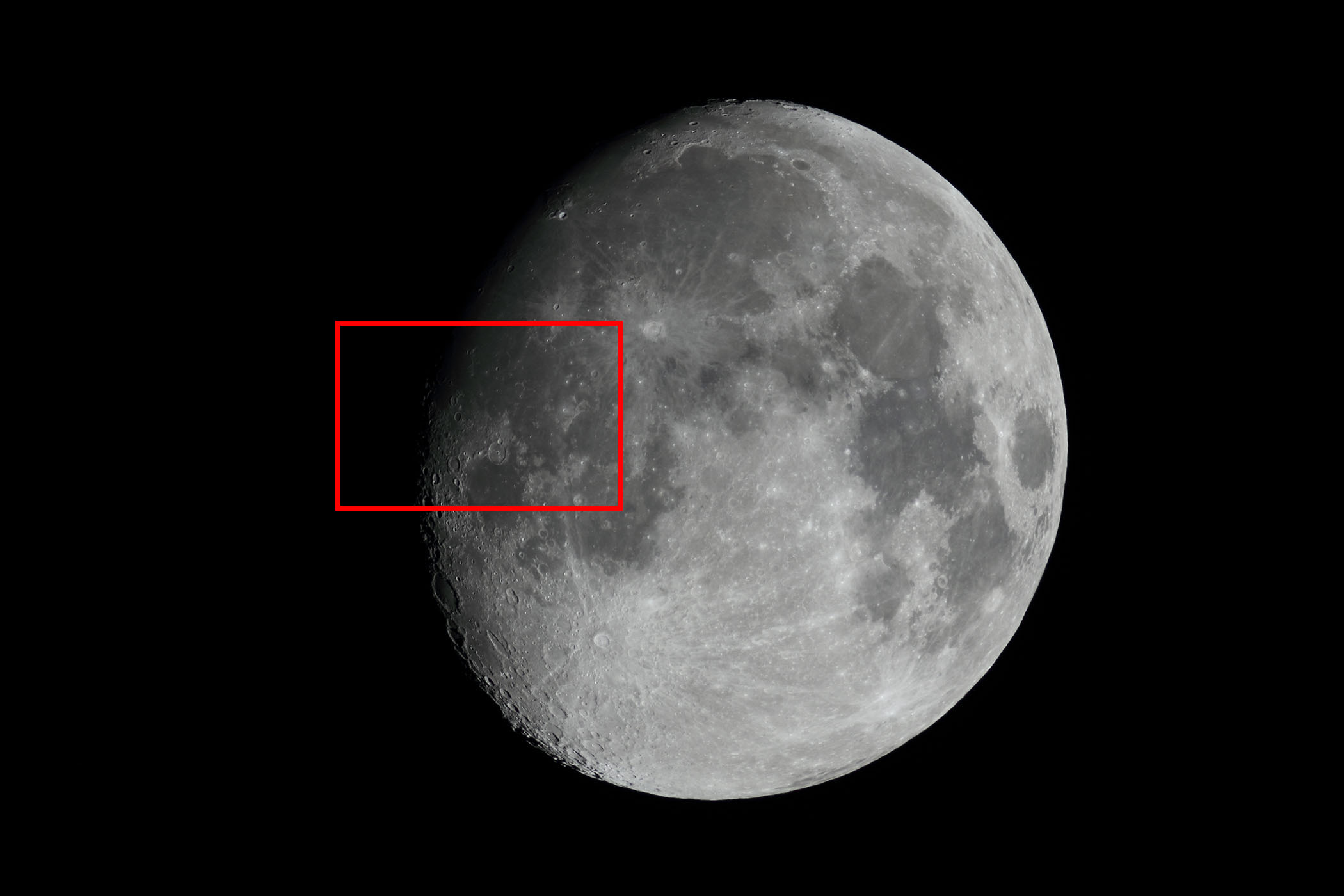 �w���i����12.2�j�K�b�T���f�B�E����̊C�t�߁x(2025�N12��2��)