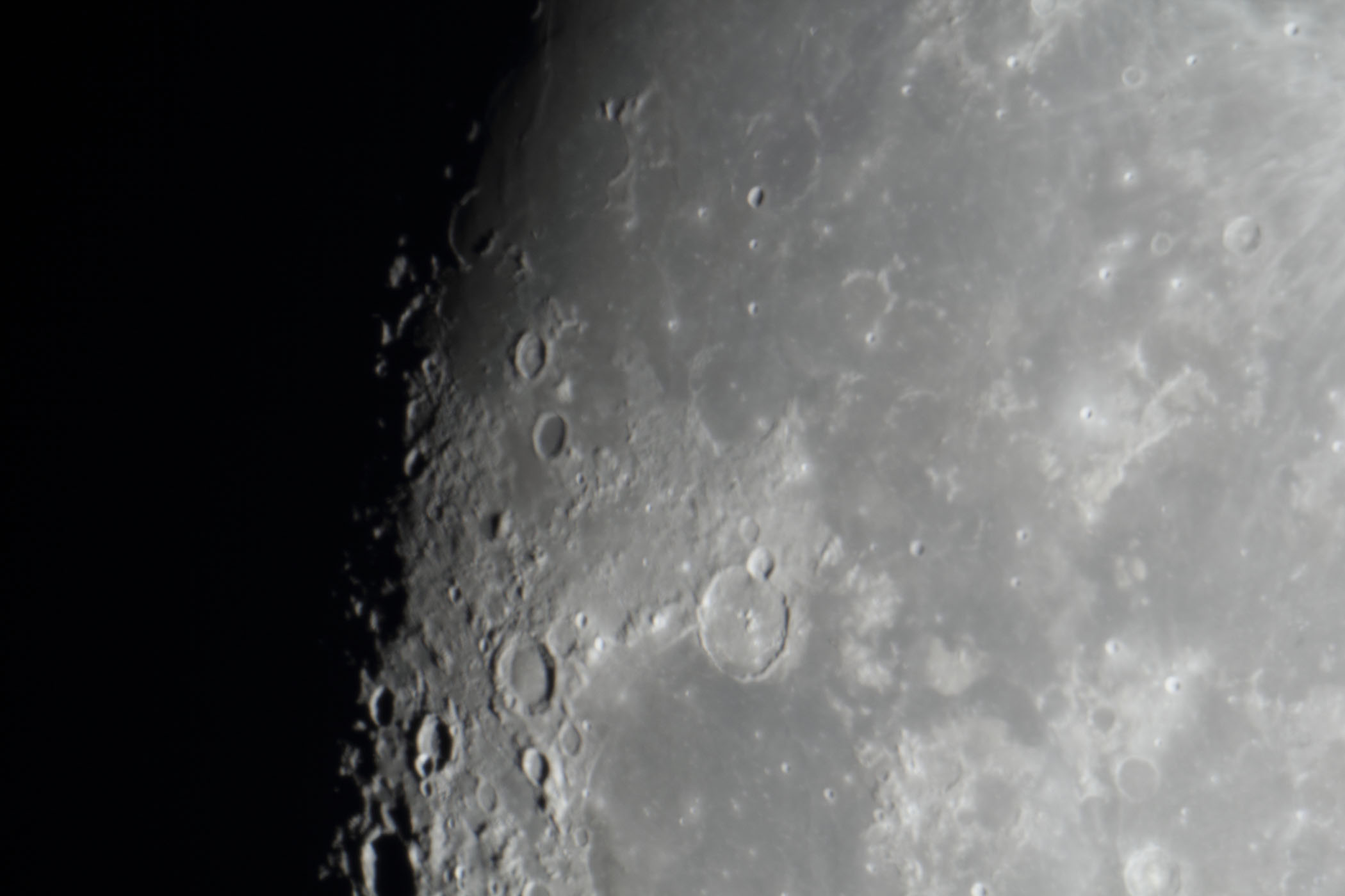 �w���i����12.2�j�K�b�T���f�B�E����̊C�t�߁x(2025�N12��2��)