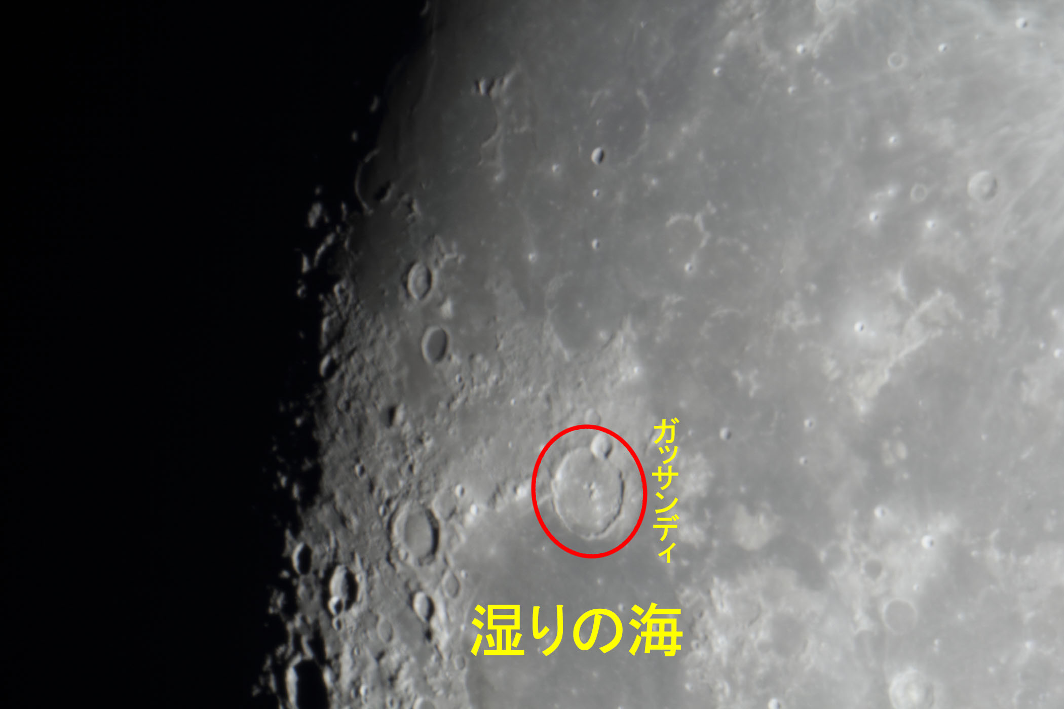 �w���i����12.2�j�K�b�T���f�B�E����̊C�t�߁x(2025�N12��2��)