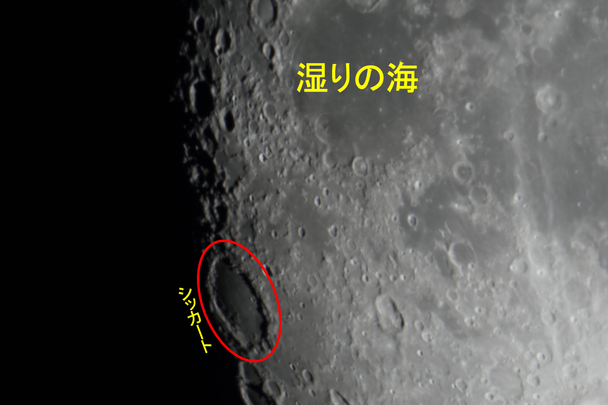 �w���i����12.2�j����̊C�E�V�b�J�[�g�t�߁x(2025�N12��2��)