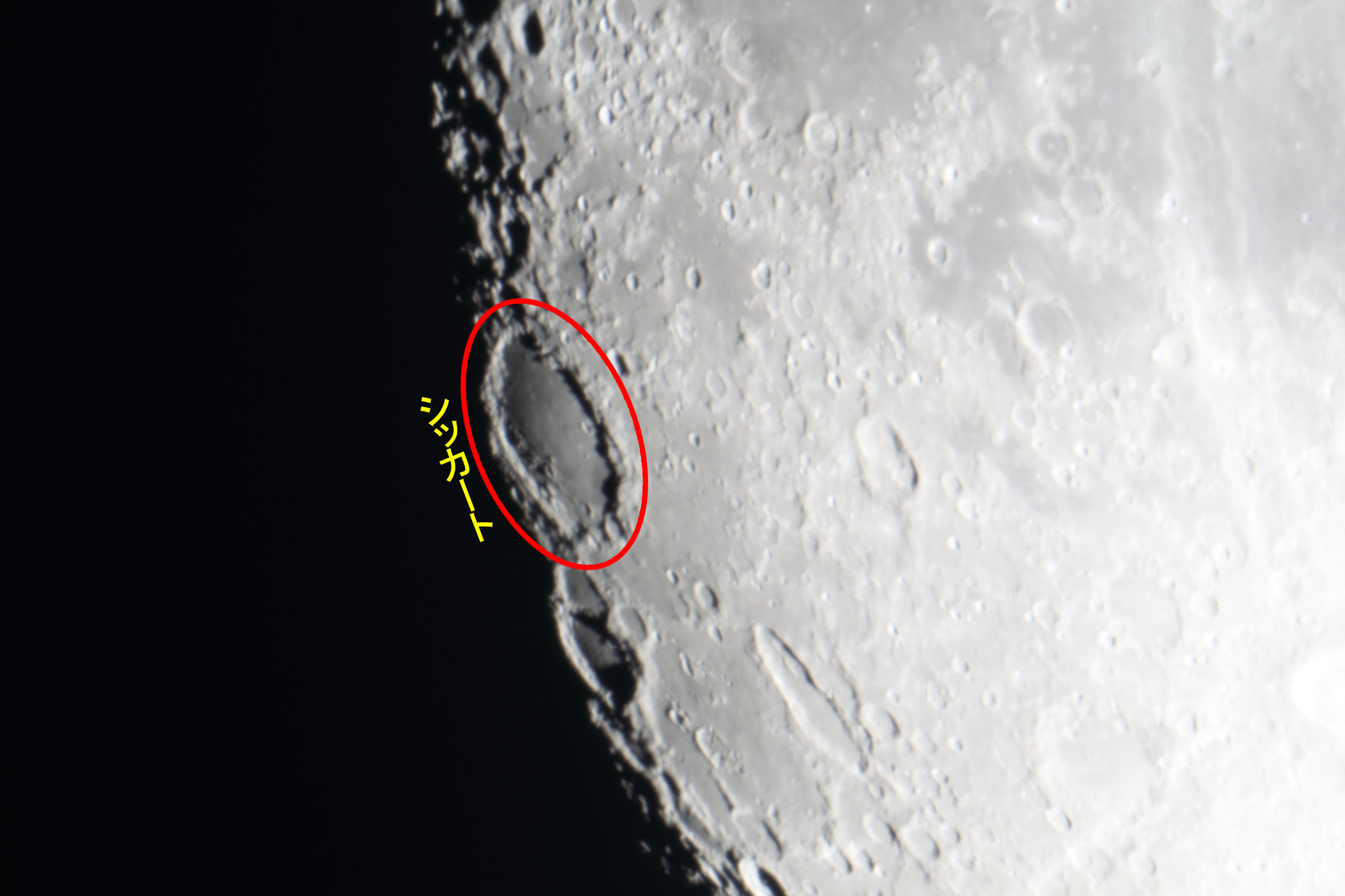 �w���i����12.2�j�V�b�J�[�g�t�߁x(2025�N12��2��)