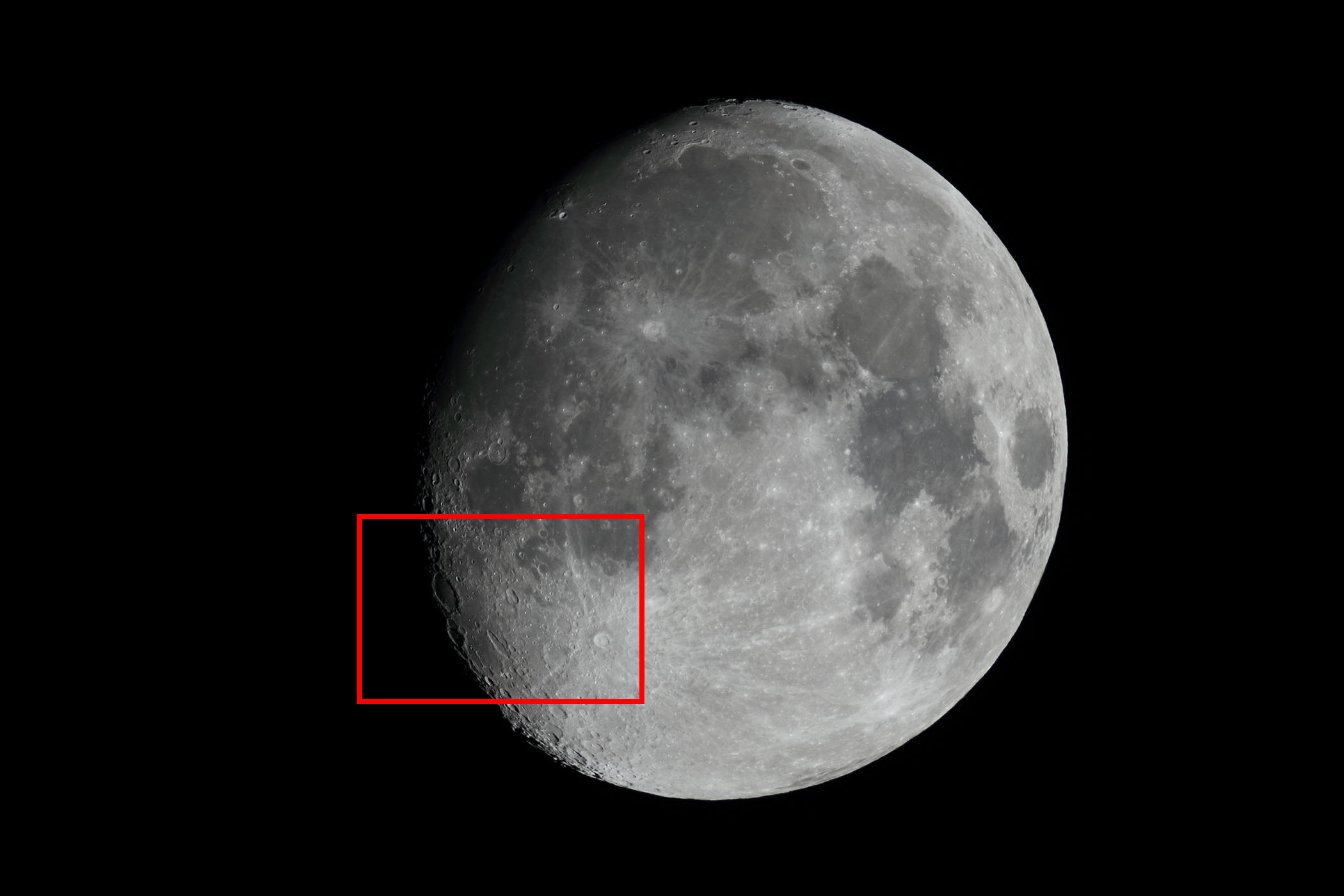 �w���i����12.2�j�V�b�J�[�g�E�e�B�R�t�߁x(2025�N12��2��)