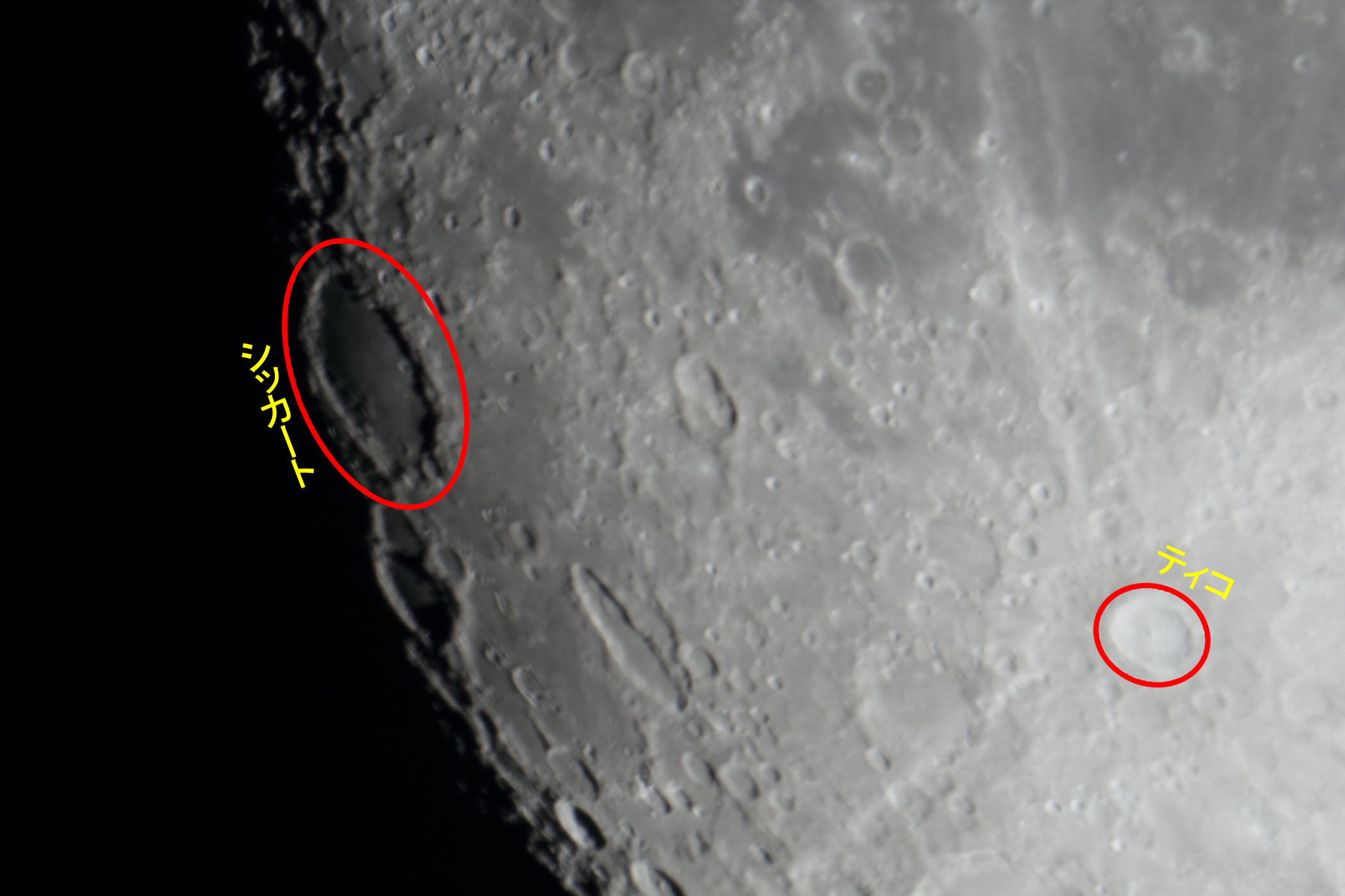 �w���i����12.2�j�V�b�J�[�g�E�e�B�R�t�߁x(2025�N12��2��)