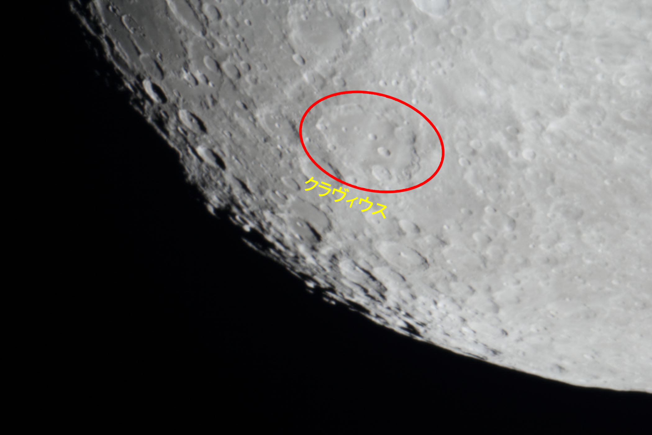 �w���i����12.2�j�N�����B�E�X�t�߁x(2025�N12��2��)