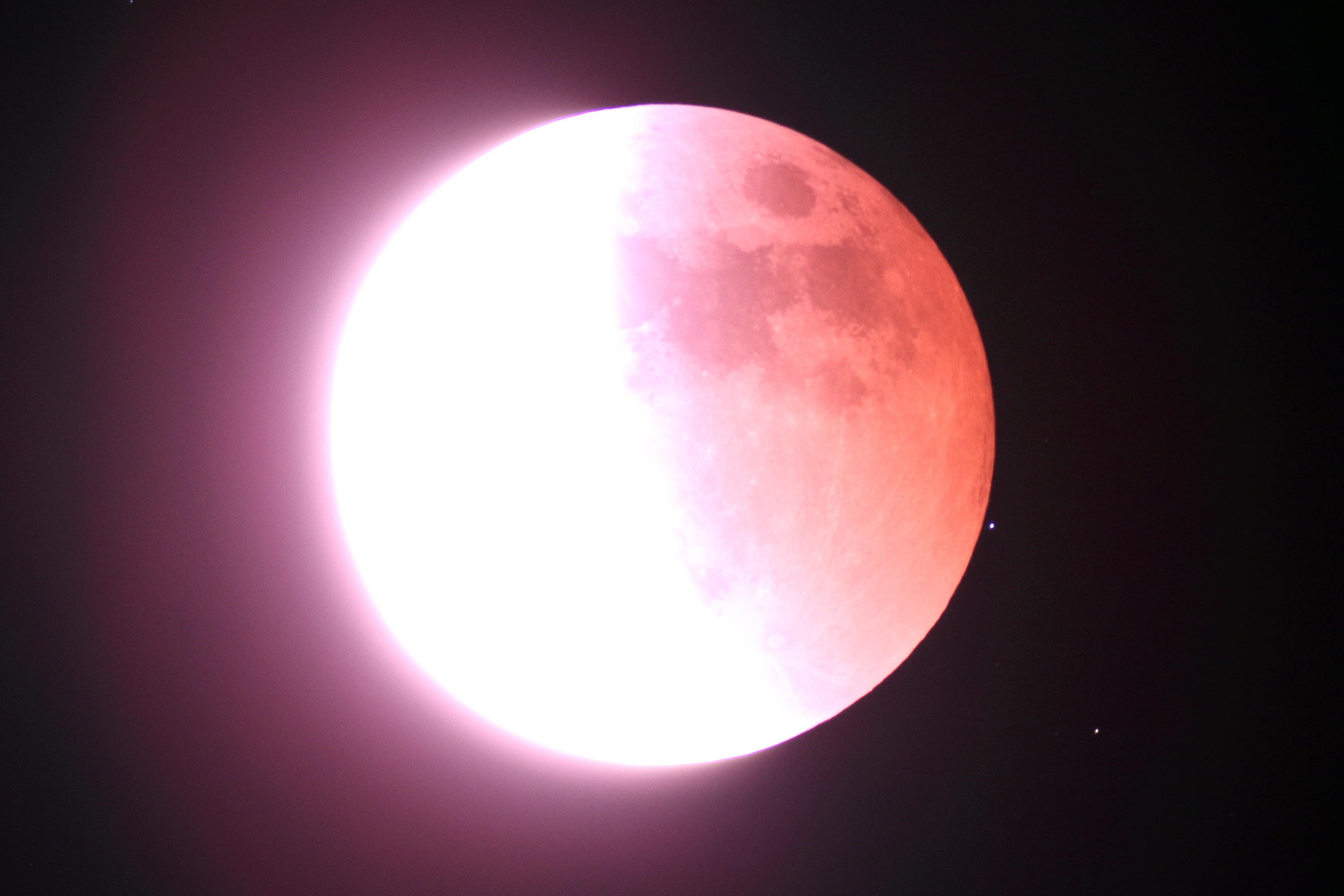 wVH(o)x(2022N118)