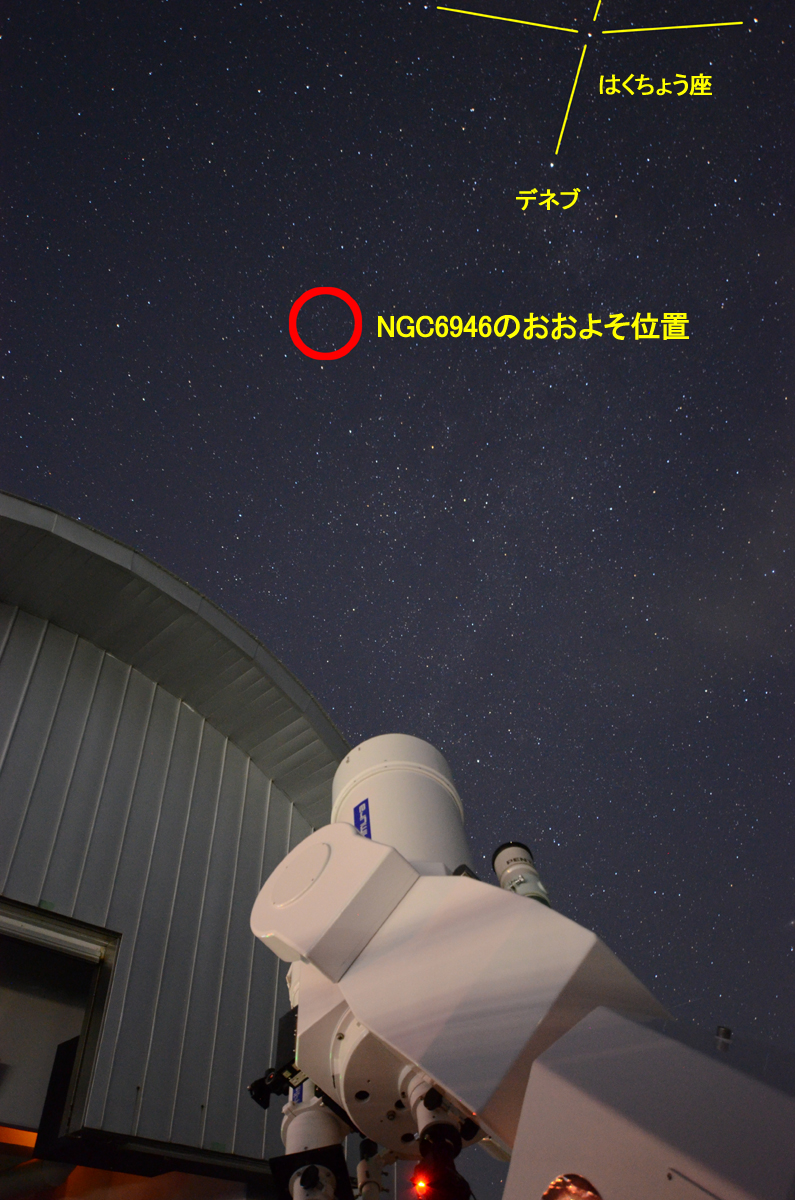 wNGC6946 ̂悻̈ʒux