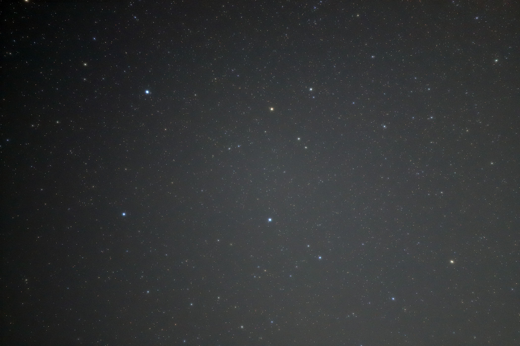 wyKXXx(2023N1115)