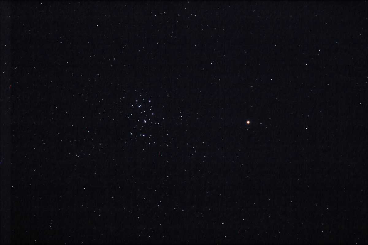w΂Ɖΐx(2021N32)