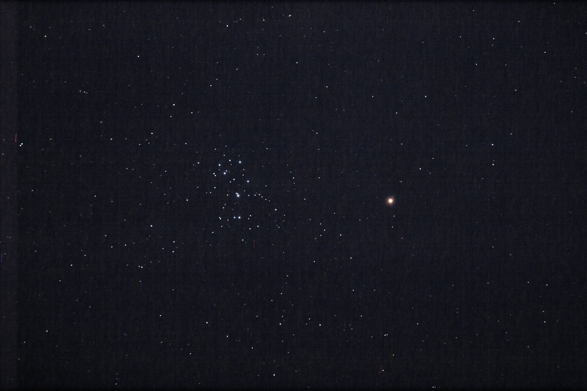 w΂Ɖΐx(2021N33)