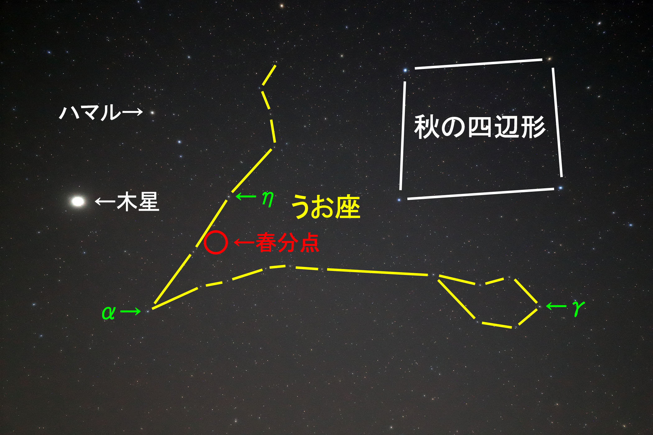 wx̐
