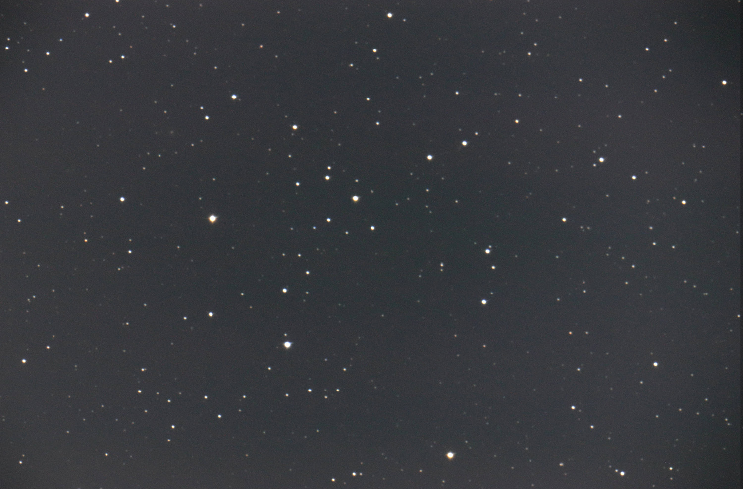 wx(2021N84)