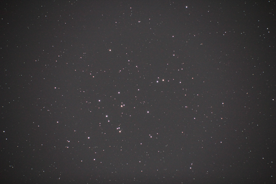 wvZyc(M44)x