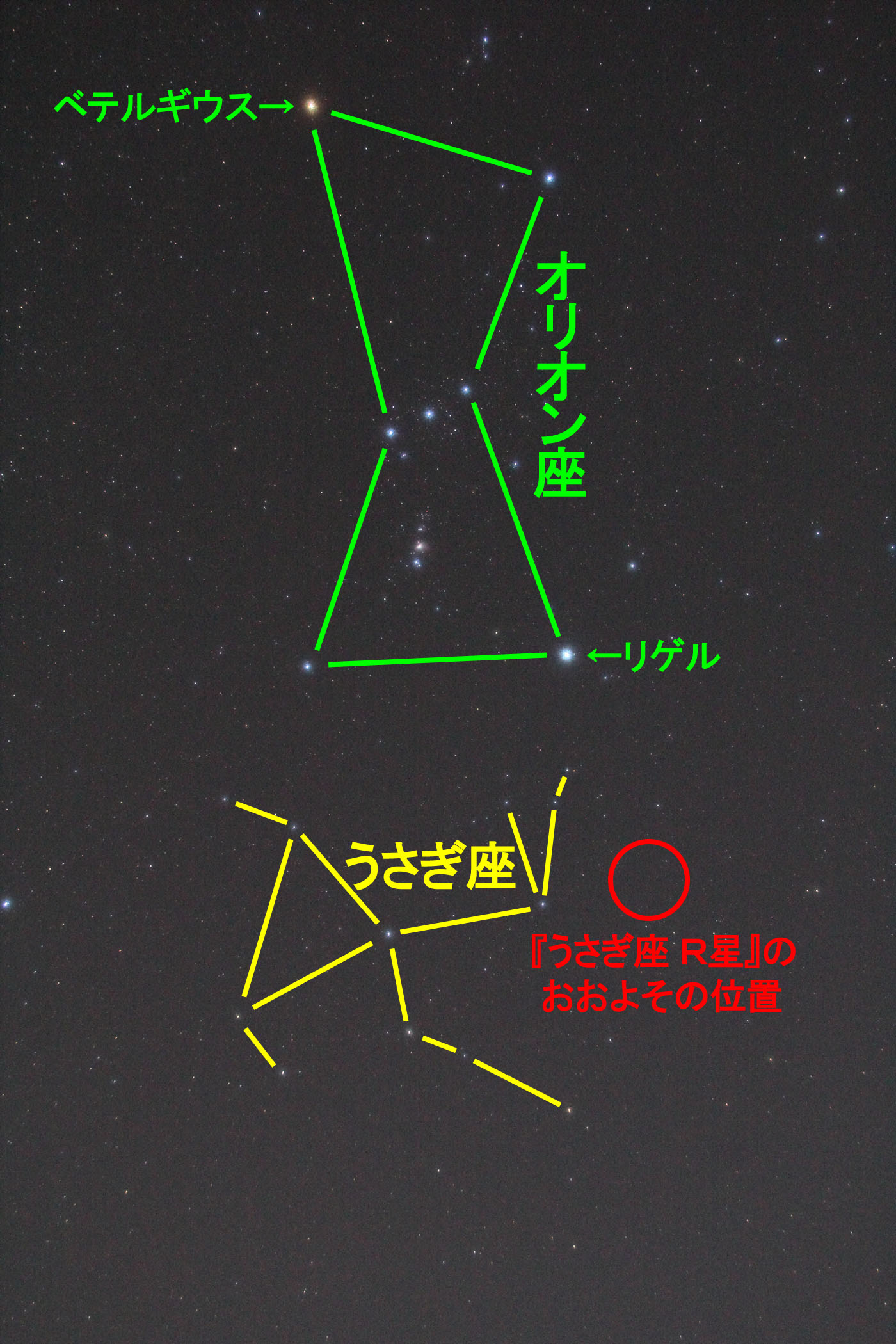 w Rx̂悻̈ʒu
