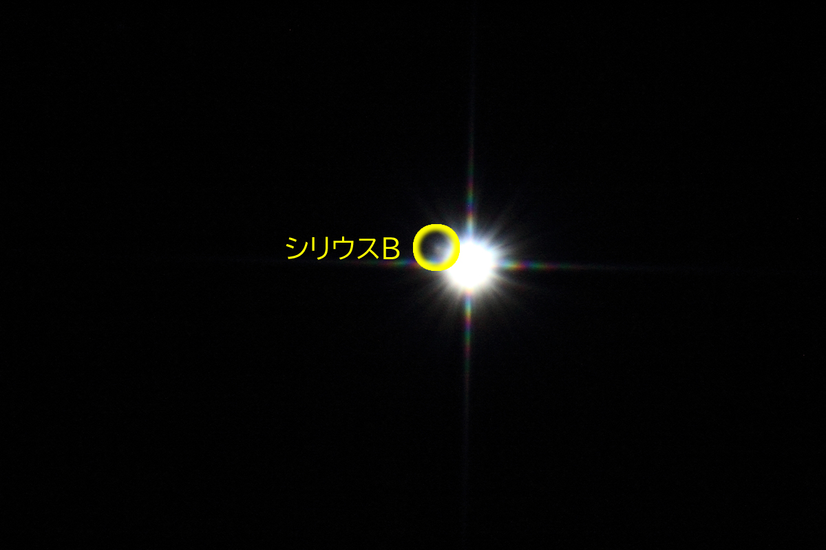 wVEXBx(2022N227)