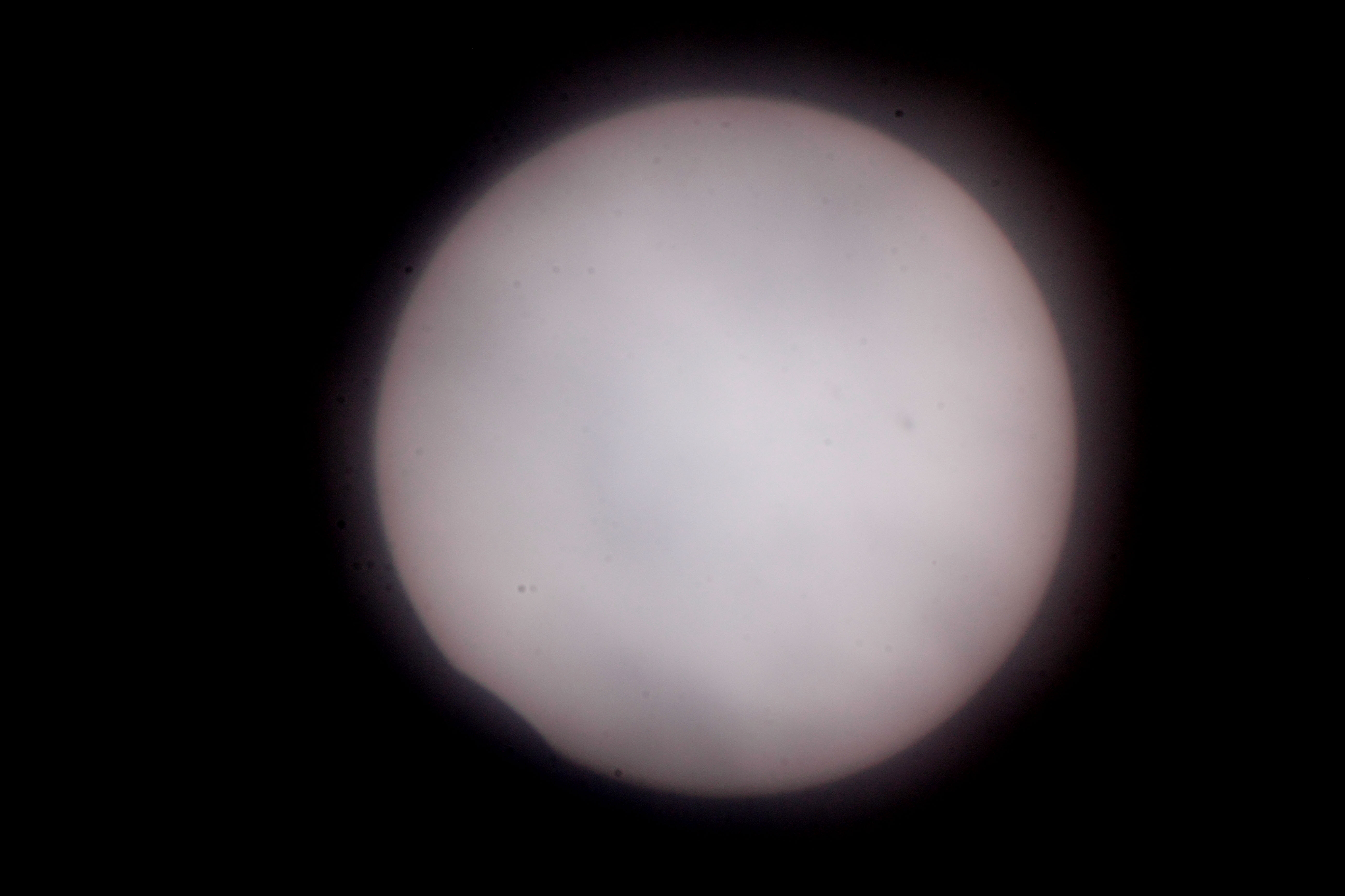 wHx(2023N420)