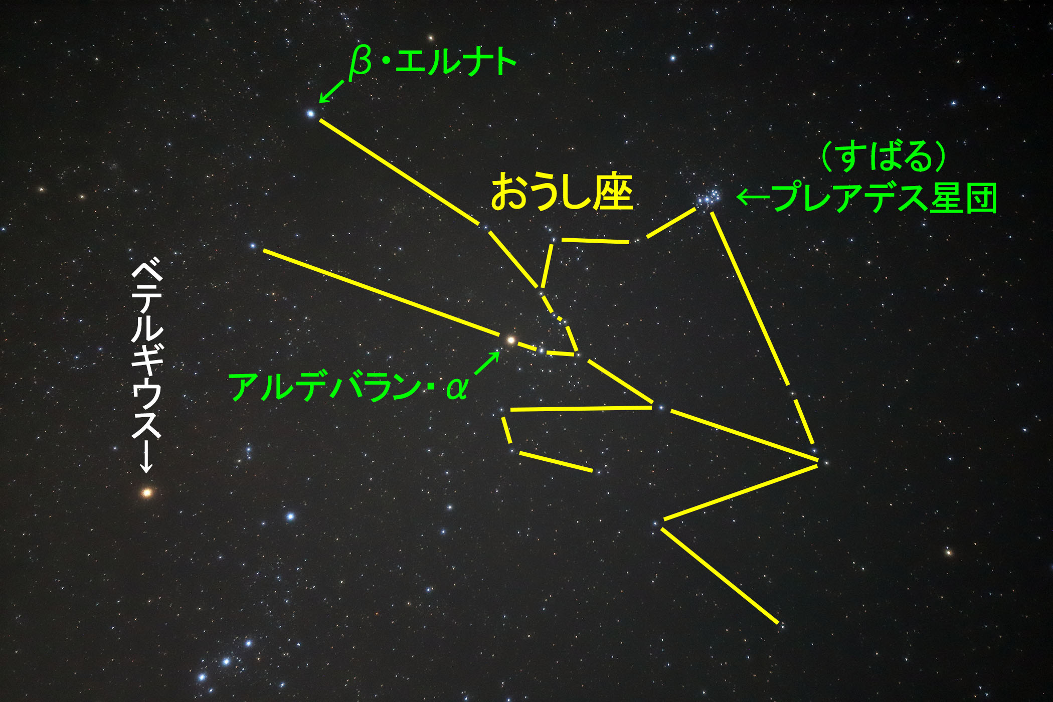 wx̐
