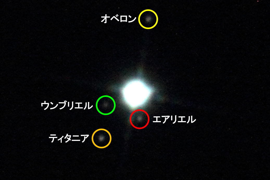 wV̉q()x(2023N127)