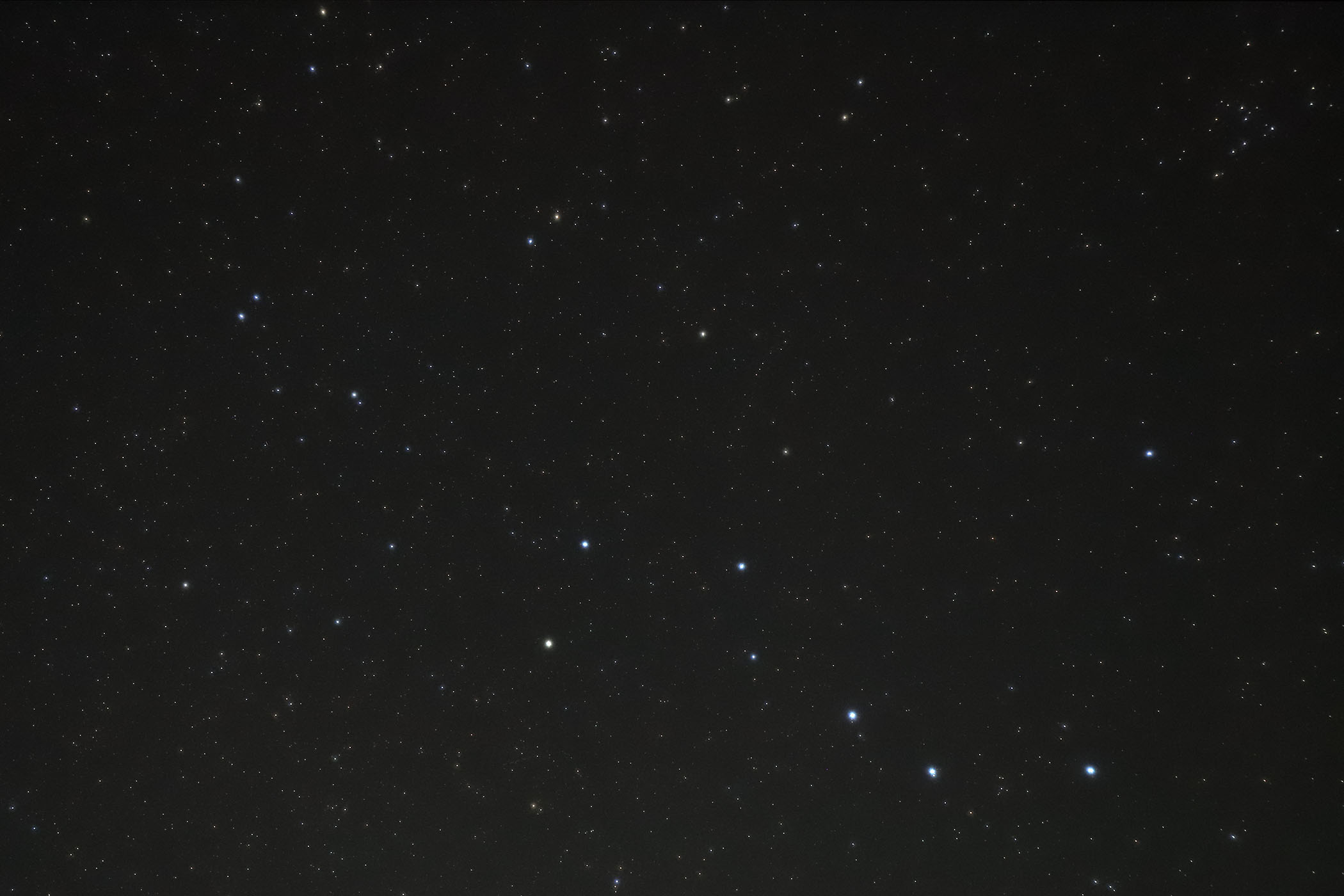 w܍x(2025N221)