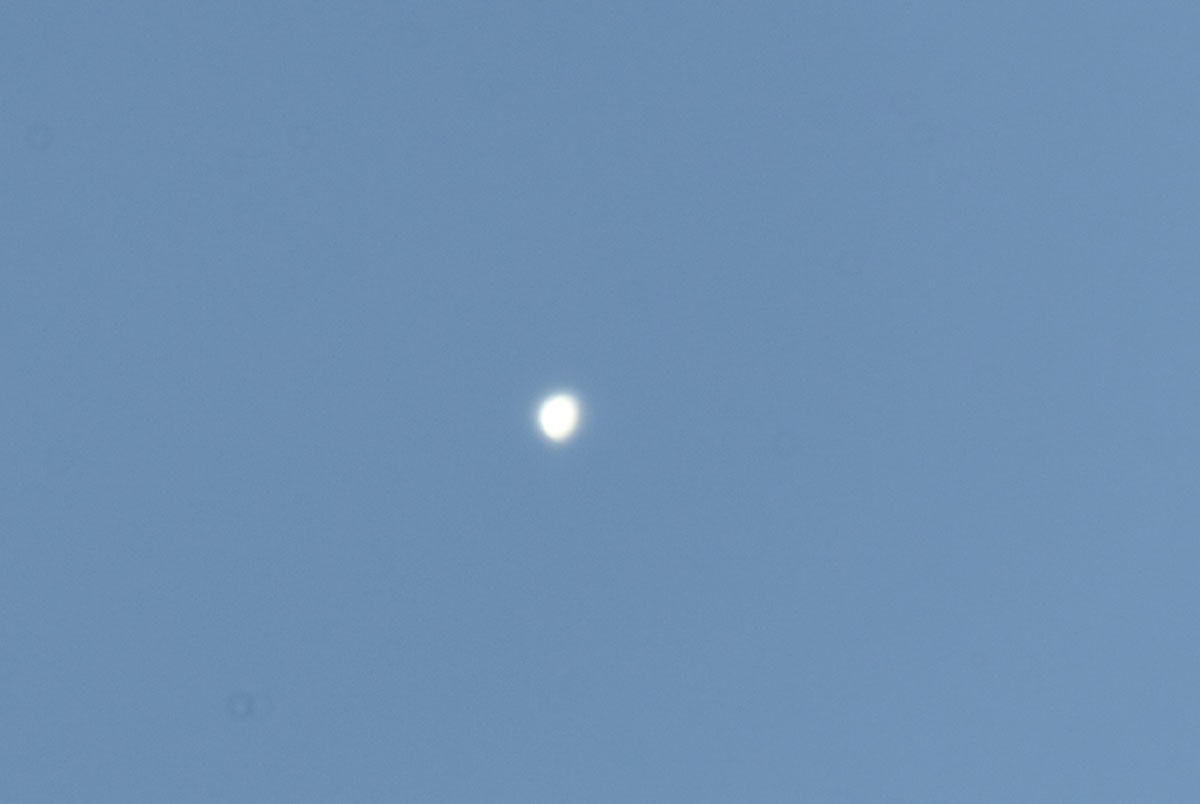 wx(2022N629)