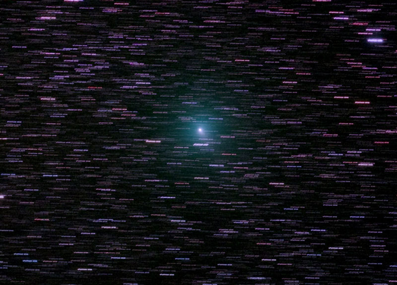 103P/n[gCa