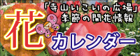 R̉Ԃ̃J_[