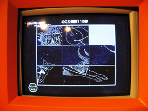 pY