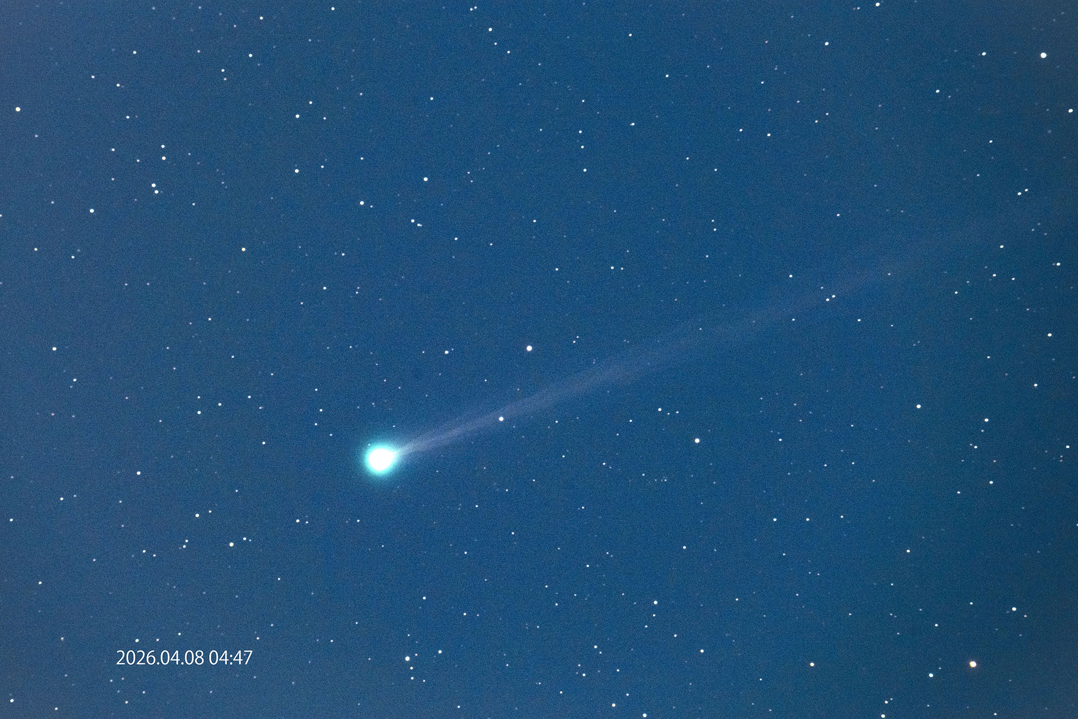 『C/2025 R3 パンスターズ彗星』(2026年4月8日)