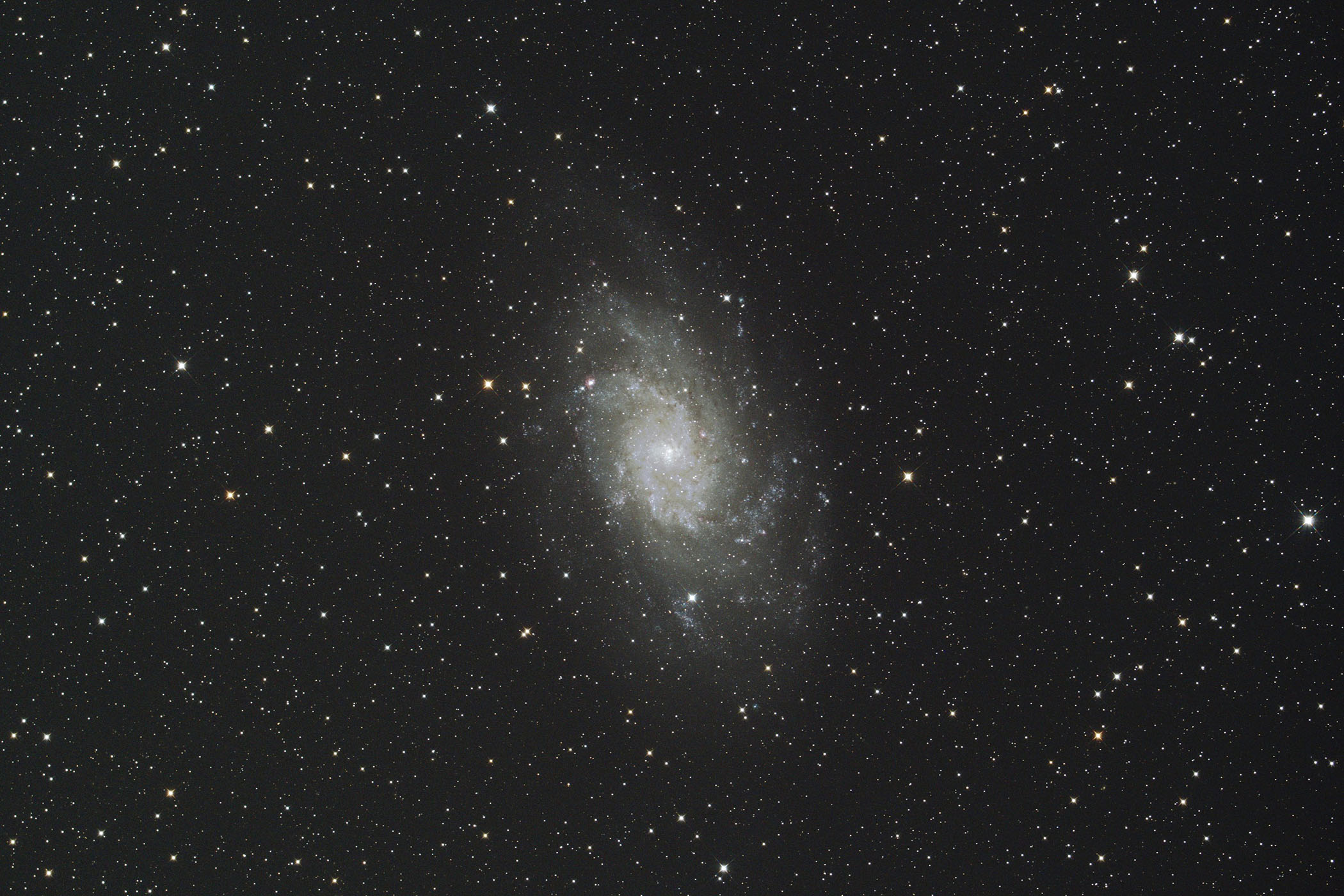 『M33 さんかく座銀河』(2026年8月18日)