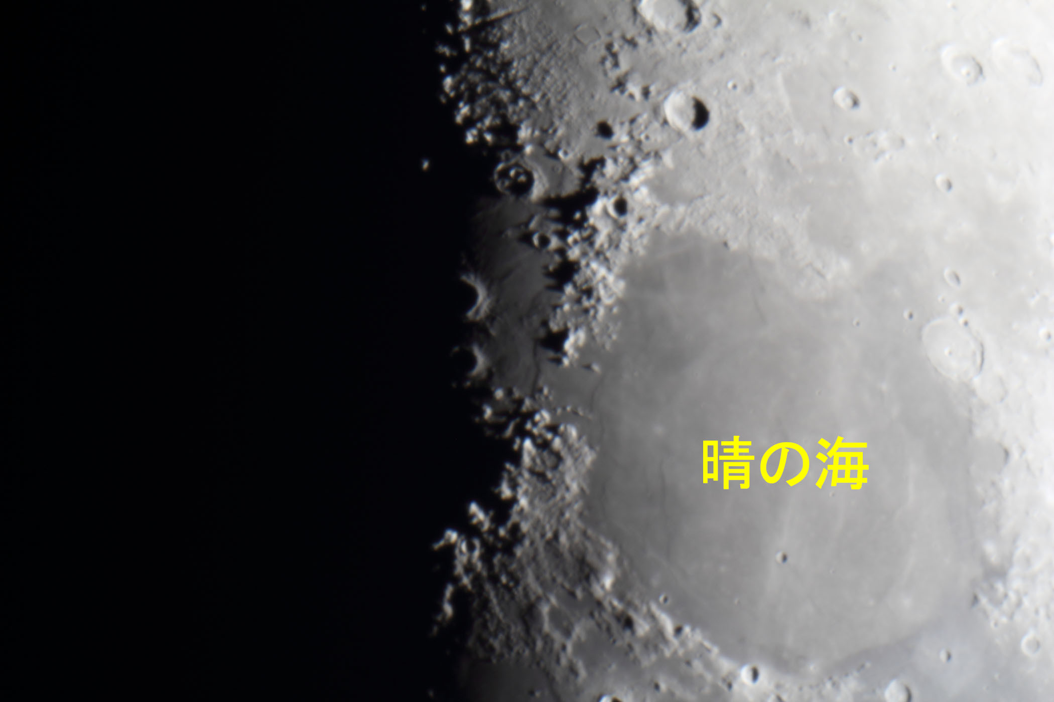 『月(月齢7.7)晴の海付近』(2025年9月29日)