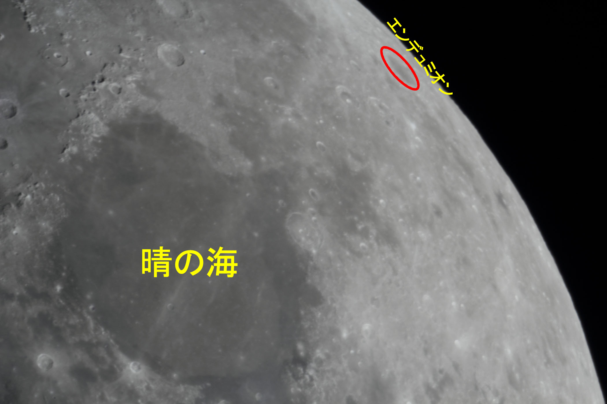 『月(月齢9.7)エンデュミオン・晴の海付近』(2026年1月28日)