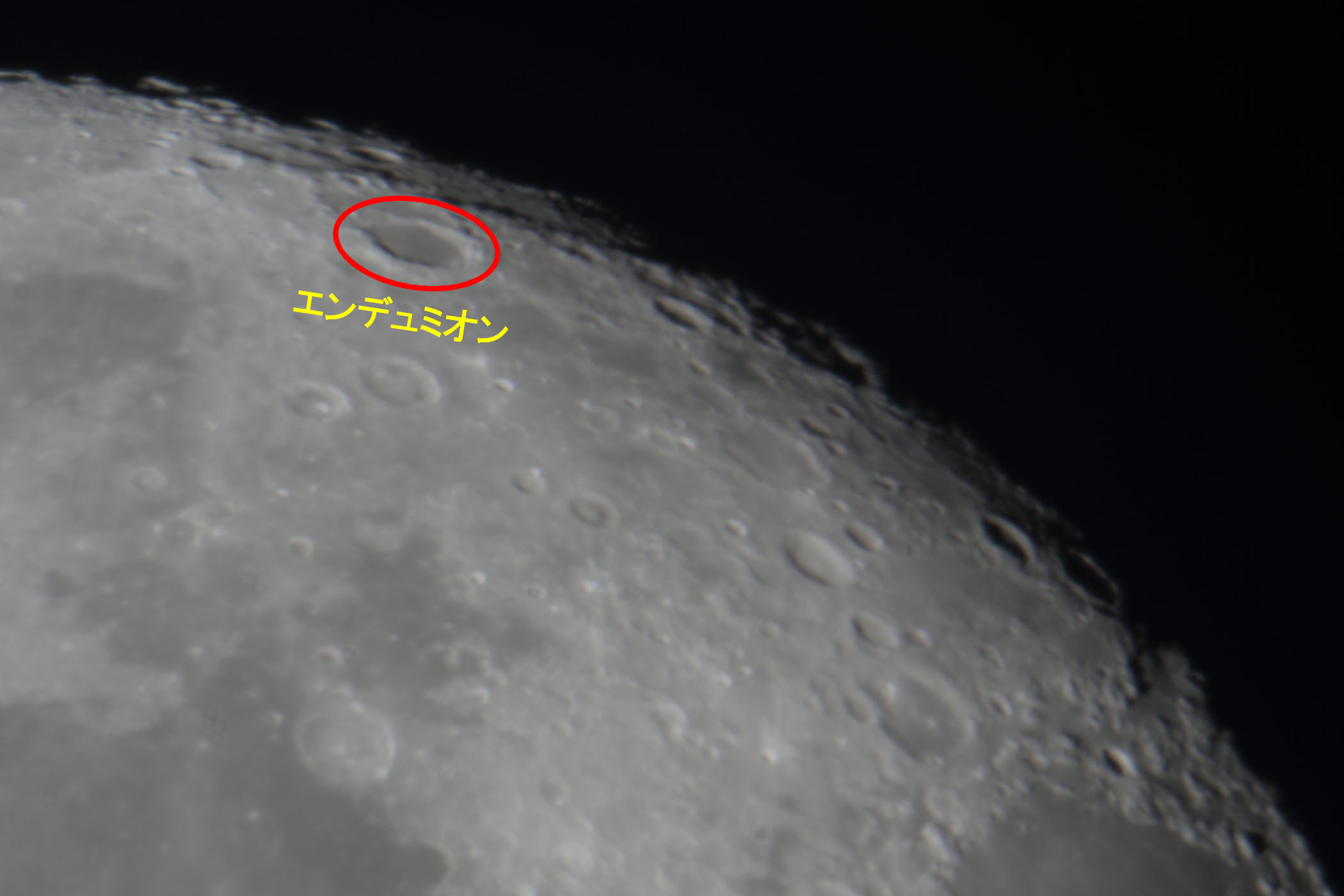 �w���i����15.7�j�G���f���~�I���t�߁x(2026�N2��3��)