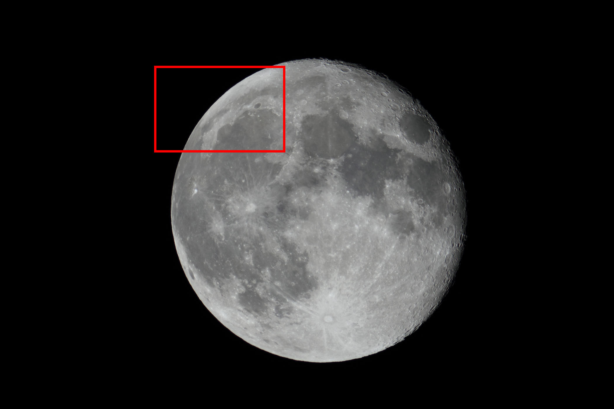 �w���i����15.7�j�v���g���E���̓���]�t�߁x(2026�N2��3��)