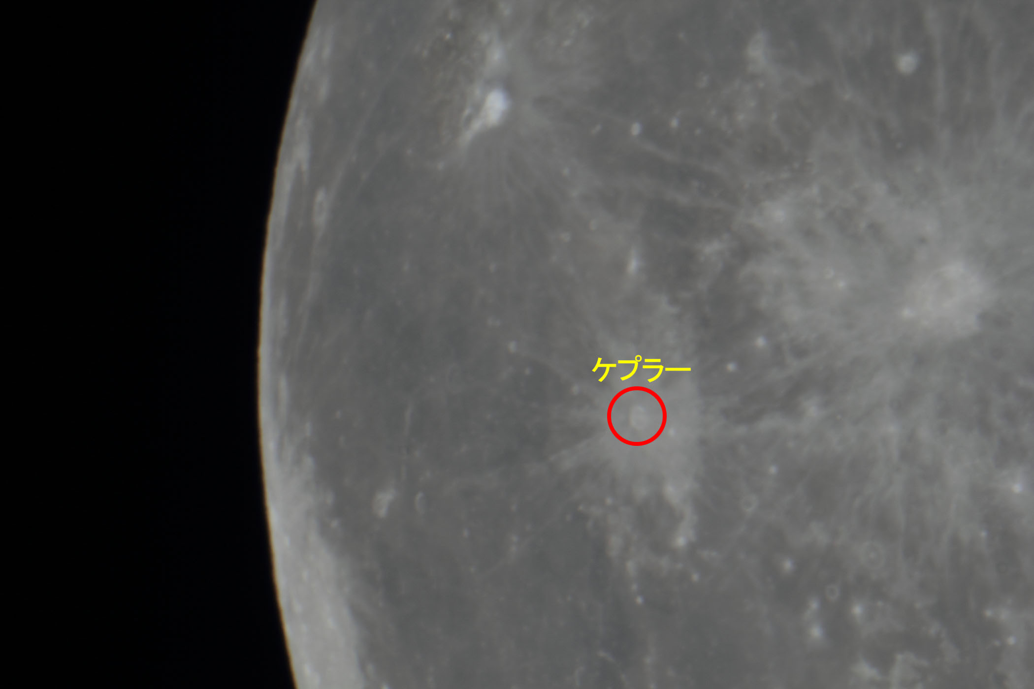 �w���i����15.7�j�P�v���[�t�߁x(2026�N2��3��)