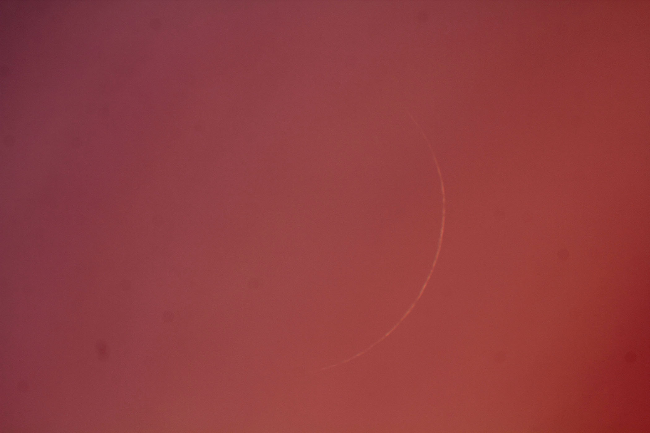 �w���i����1.0�j�x(2026�N2��18��)