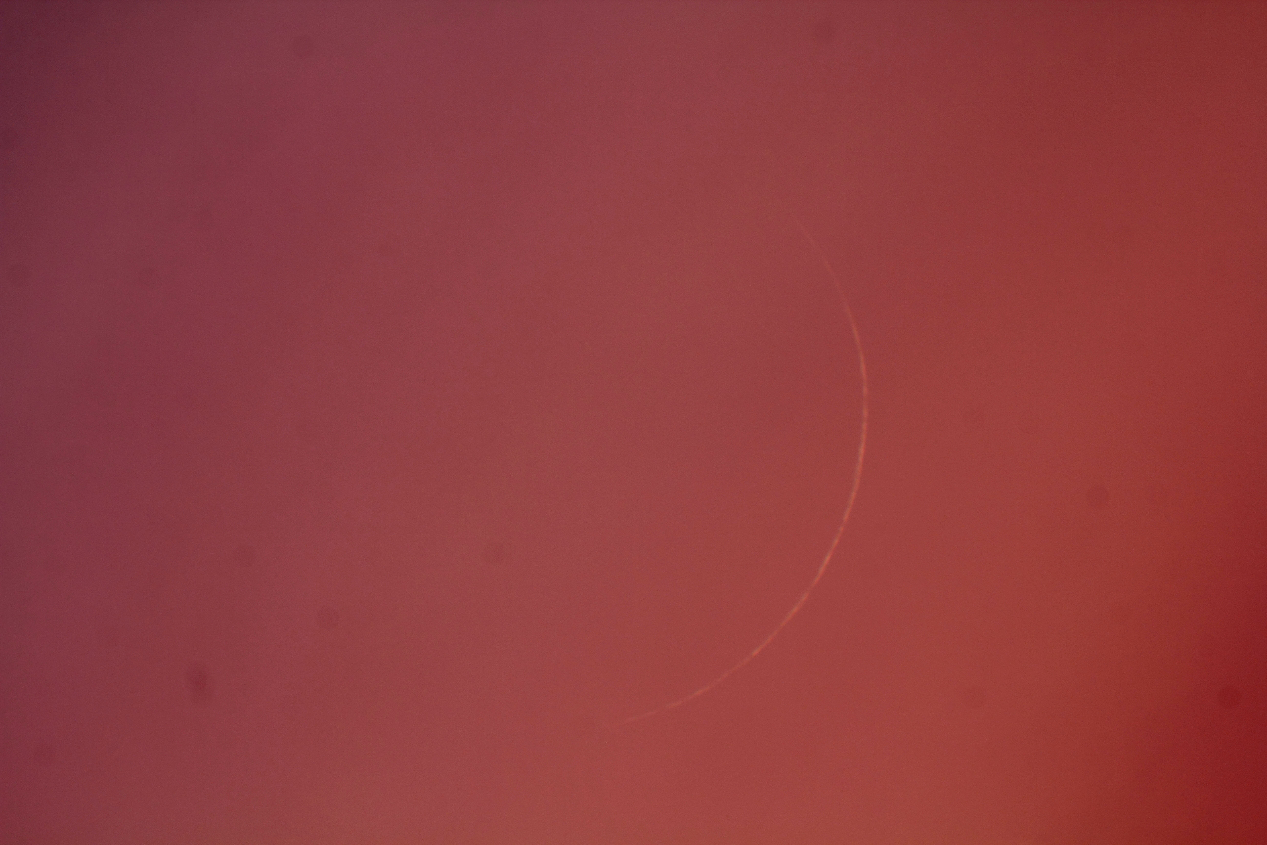 �w���i����1.0�j�x(2026�N2��18��)