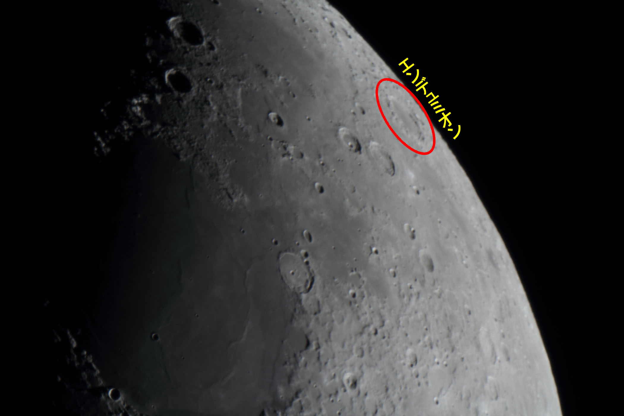 �w���i����6.0�j�G���f���~�I���t�߁x(2026�N2��23��)