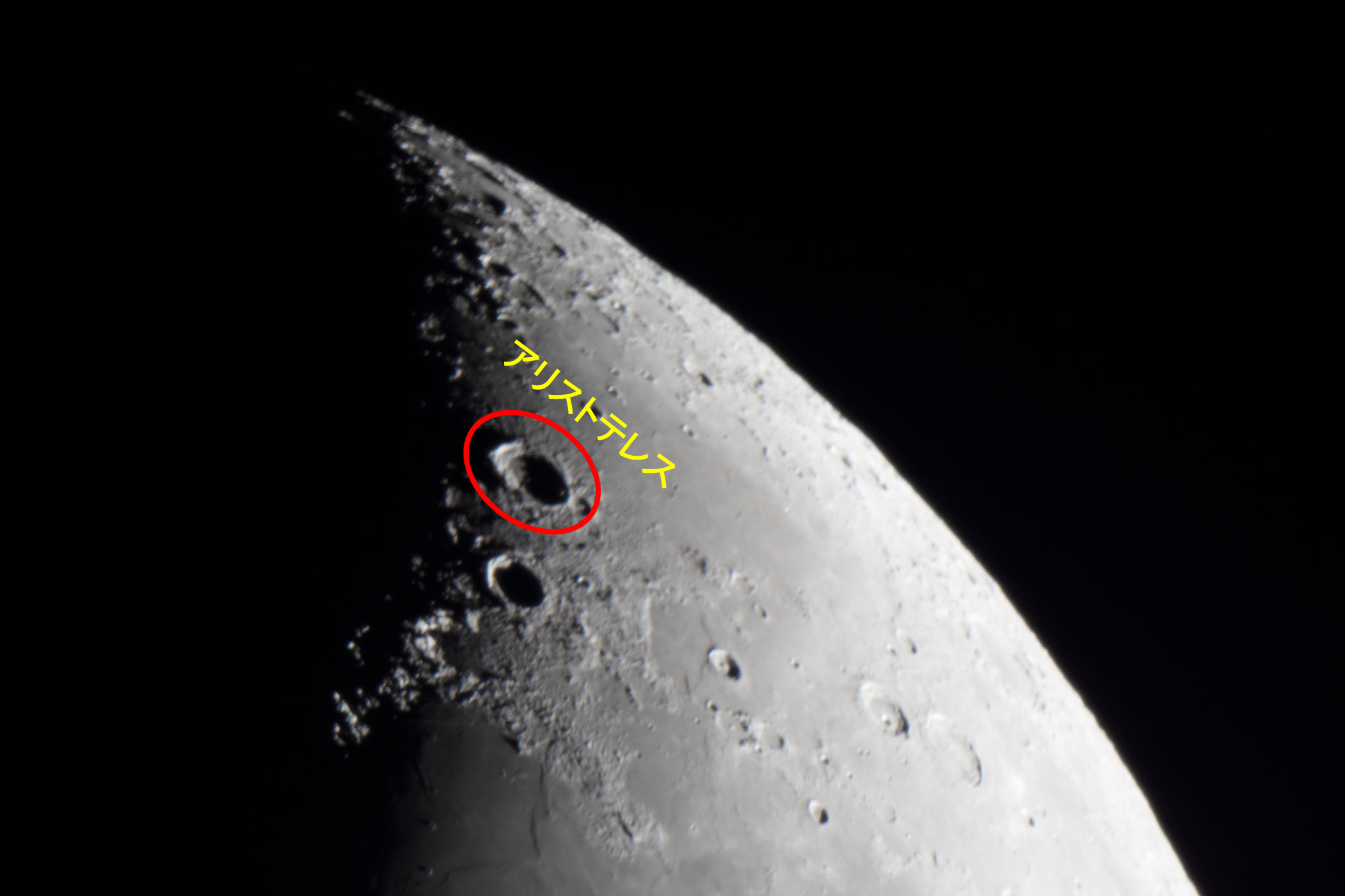 �w���i����6.0�j�A���X�g�e���X�t�߁x(2026�N2��23��)