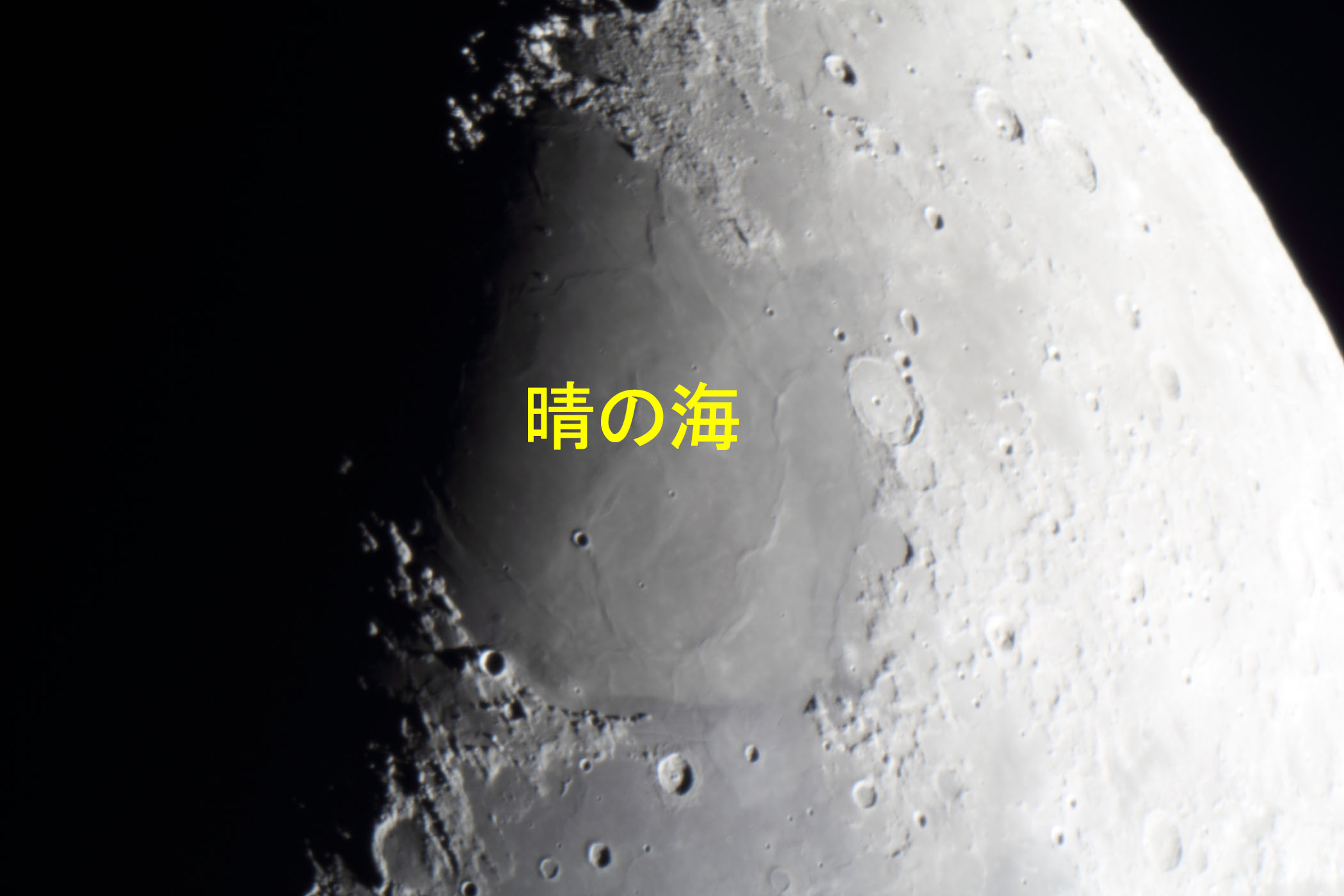 �w���i����6.0�j���̊C�t�߁x(2026�N2��23��)