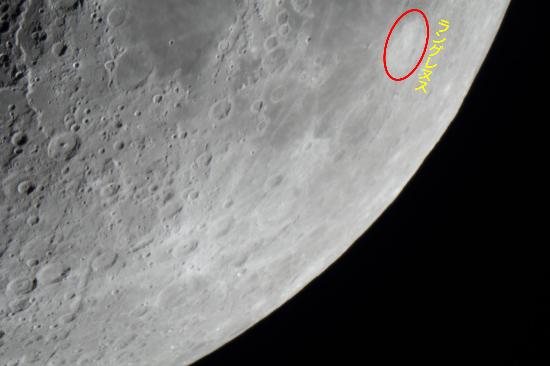 �w���i����6.0�j�����O���k�X�t�߁x(2026�N2��23��)