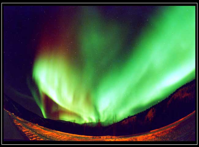 �I�[�����R