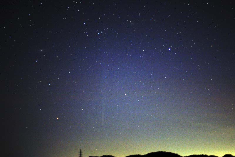 �u���b�h�t�B�[���h�a��