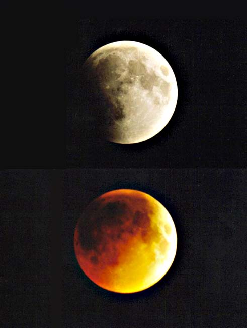 �����H�ƊF���H