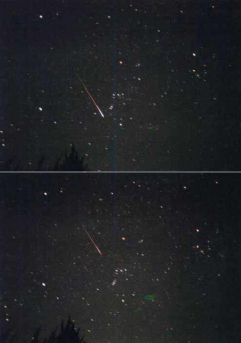 �I���I�����Ɨ���