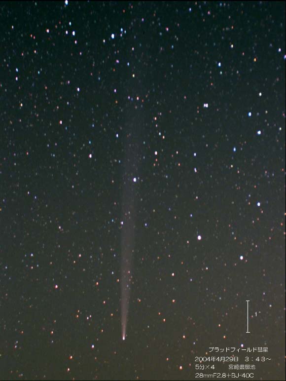 �u���b�h�t�B�[���h�a��