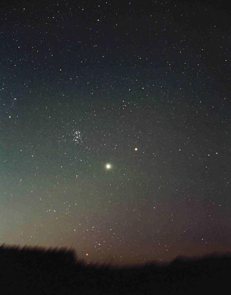 ���΂�C�ؐ��C�y��