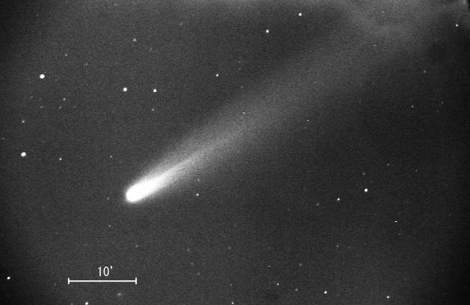 �u���b�h�t�B�[���h�a��